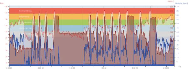 Pulsdata för passet