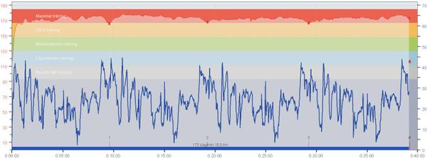 Puls och hastighet