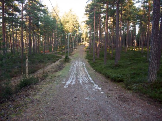 Startbacken vid Skidstavallen