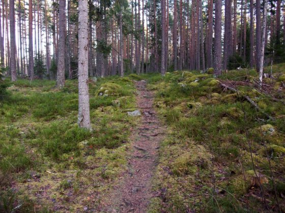 Sista stigpartiet på stök-rundan