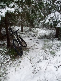 Plastraketen i skogen mellan Sätra och Stigslund