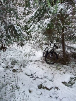 Plastraketen i skogen mellan Sätra och Stigslund