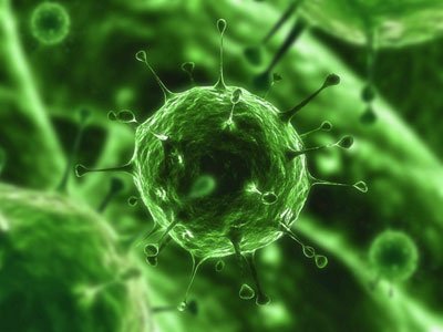 Envist virus