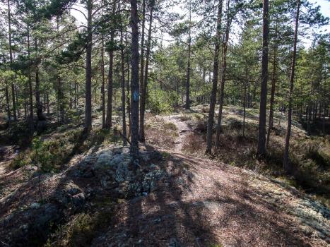 Stigsnurr i ett soldränkt Gävle Stigsnurr i ett soldränkt Gävle
