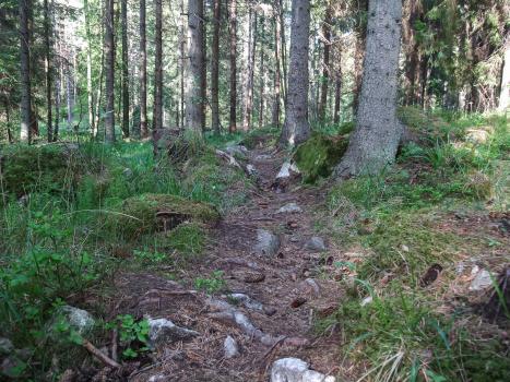 Med såg och sekatör vid Skidstavallen Med såg och sekatör vid Skidstavallen
