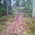 Scoutstugebacken
