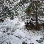 Plastraketen i skogen mellan Sätra och Stigslund