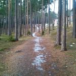 Sanatoriebacken vid Testebovallen