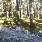 Panorama från skogen bakom sanatoriet