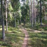 Torrt och fint på vissa ställen