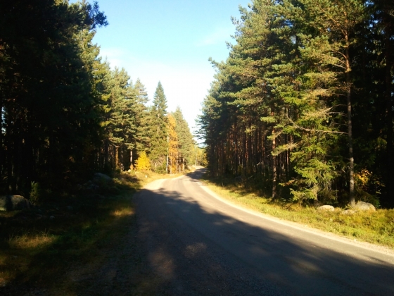 Grusvägen mellan Utnora och Björke i den vackra höstsolen